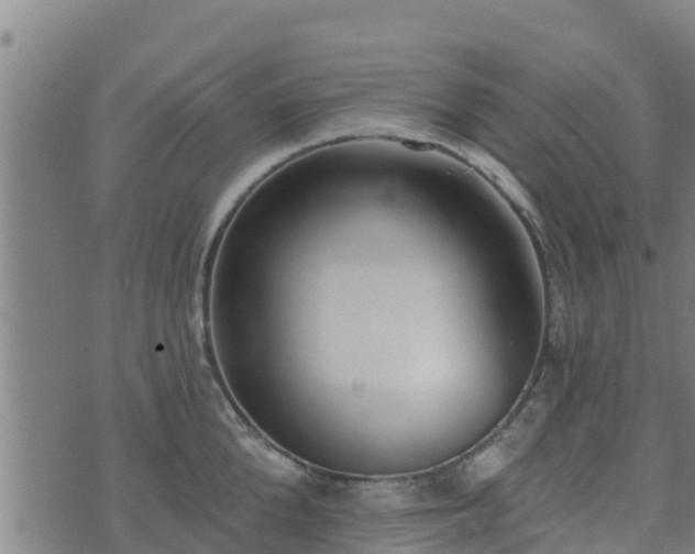 X0000074940904200609081348