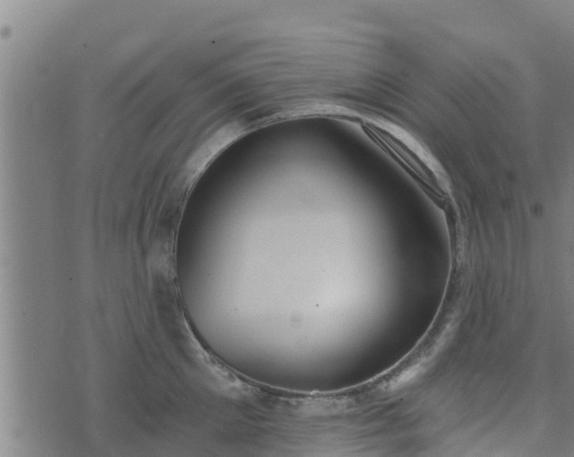 X0000074940905200609081348