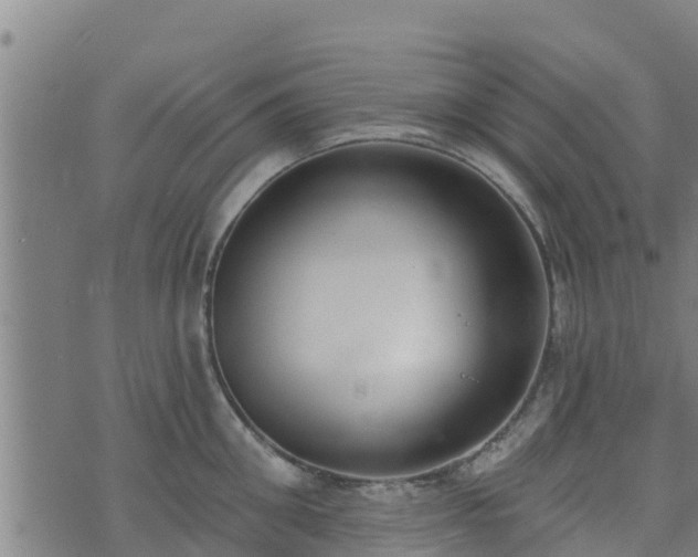 X0000074940906200609081348