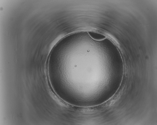 X0000074940907200609081348