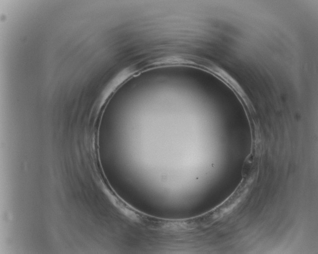 X0000074940909200609081348