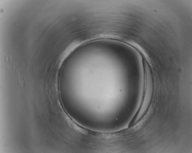 X0000074940910200609081348