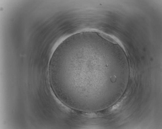 X0000074940911200609081348