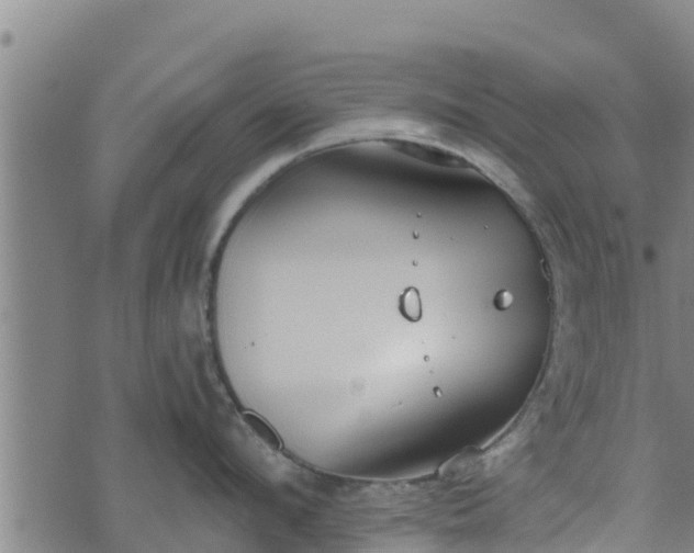 X0000074940912200609081348