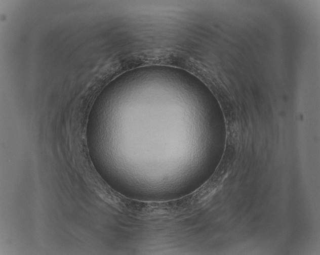 X0000074940913200609081347