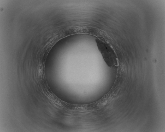 X0000074940914200609081347