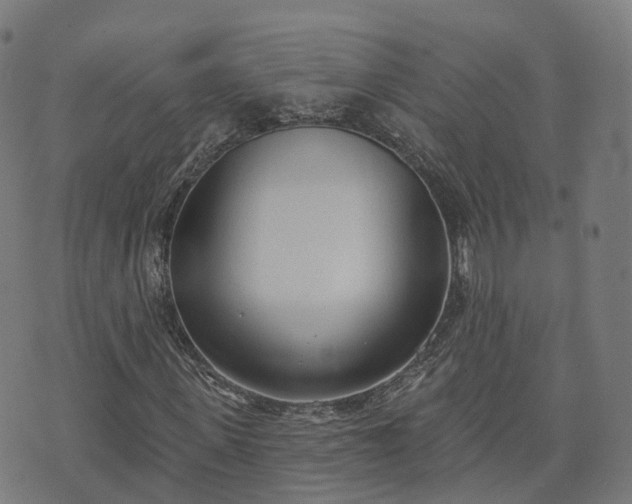 X0000074940915200609081347