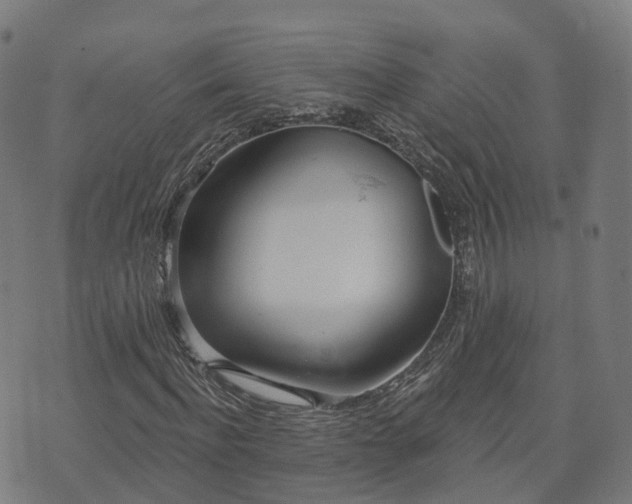 X0000074940916200609081347