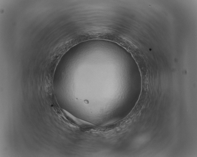 X0000074940917200609081347