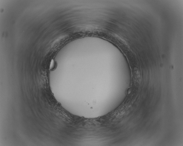 X0000074940918200609081347