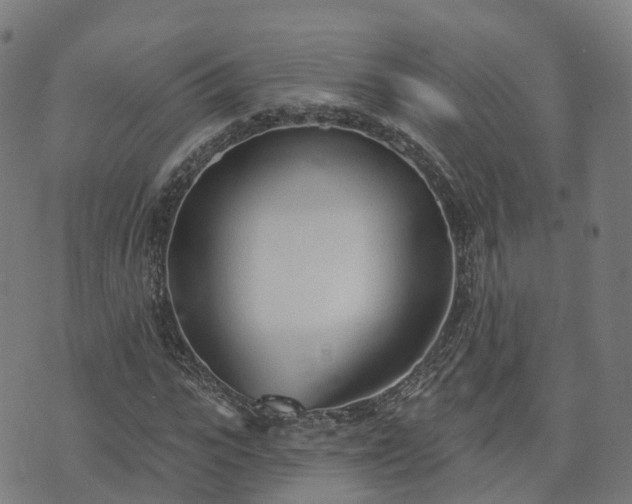 X0000074940919200609081347