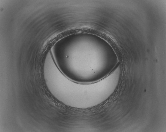 X0000074940920200609081347