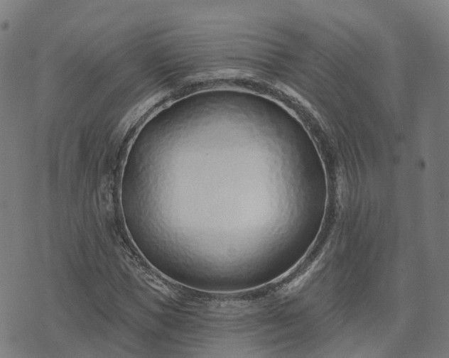 X0000074940921200609081347