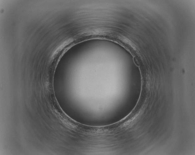 X0000074940922200609081347