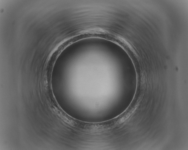 X0000074940923200609081347