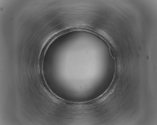 X0000074940924200609081347