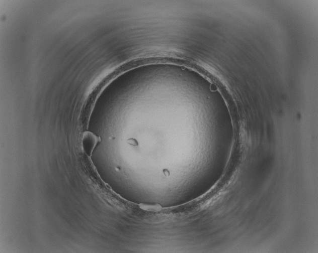 X0000074940925200609081347