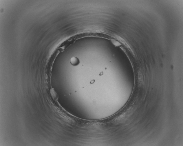 X0000074940926200609081347