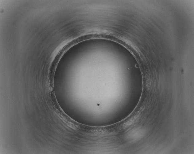 X0000074940927200609081347