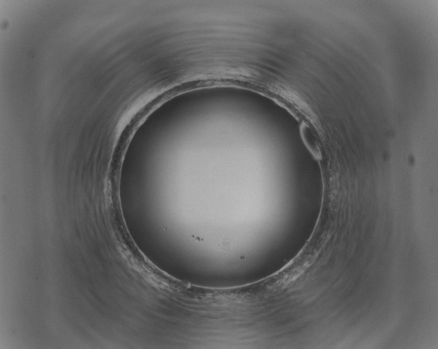 X0000074940928200609081347