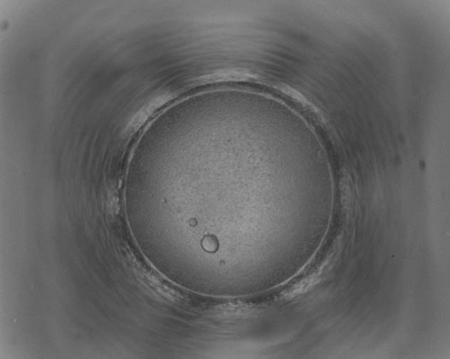 X0000074940929200609081347