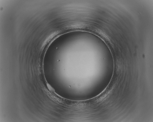 X0000074940930200609081347