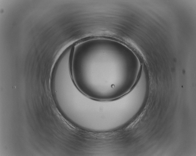 X0000074940932200609081347