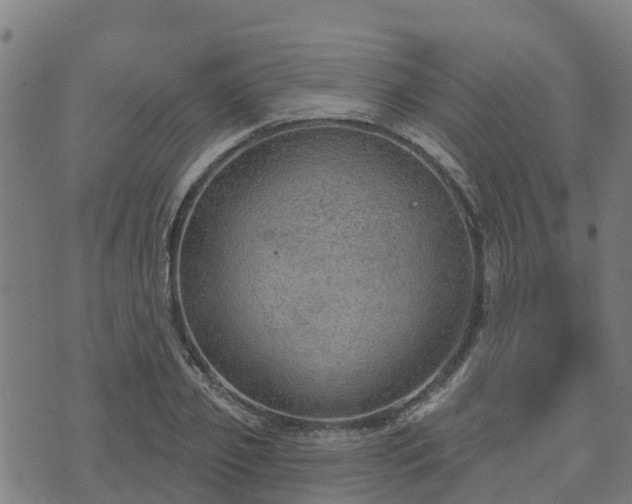 X0000074940933200609081347