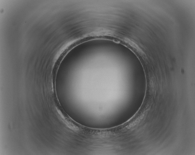 X0000074940934200609081347