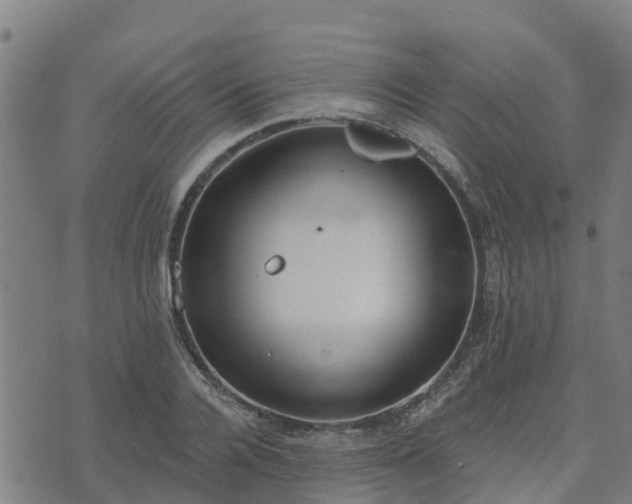 X0000074940936200609081347