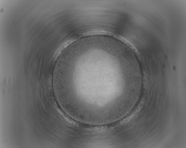 X0000074940937200609081347