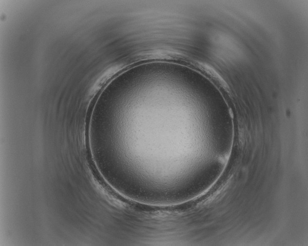 X0000074940938200609081347