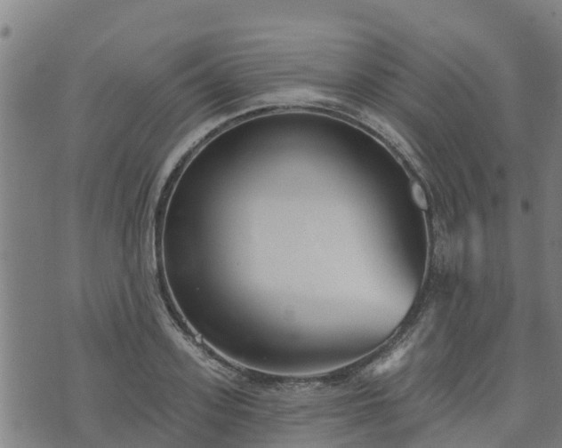 X0000074940939200609081347