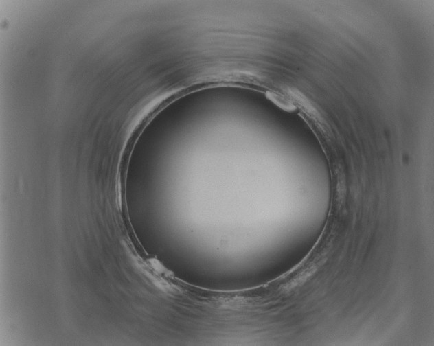 X0000074940940200609081347