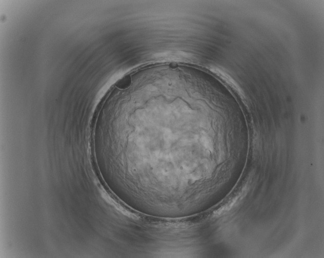 X0000074940941200609081347