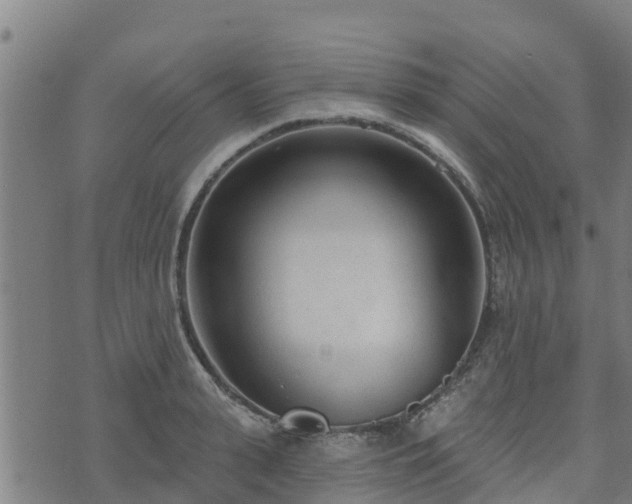 X0000074940943200609081347