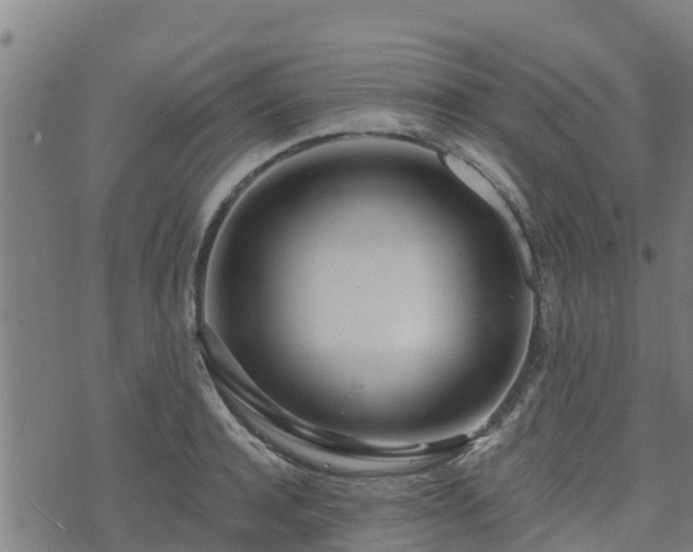 X0000074940944200609081347