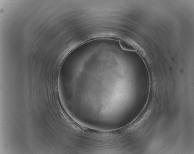 X0000074940945200609081347