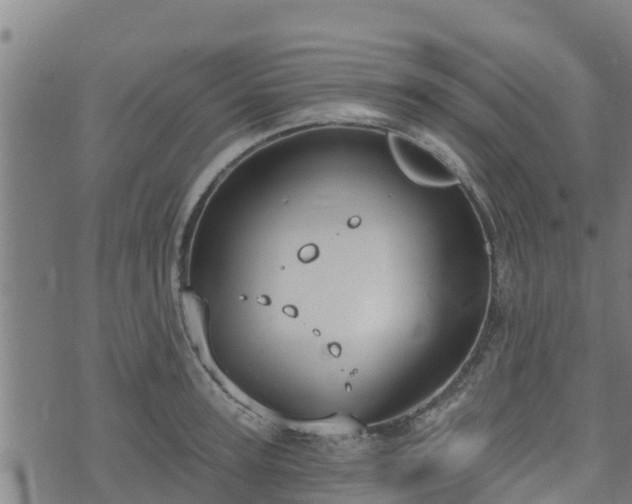 X0000074940947200609081347