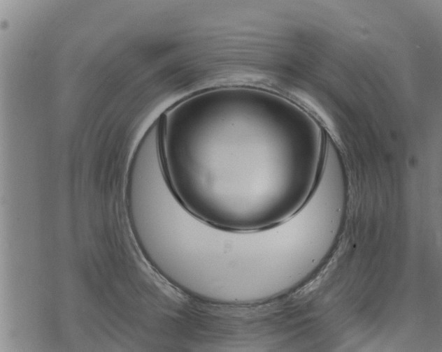 X0000074940948200609081347