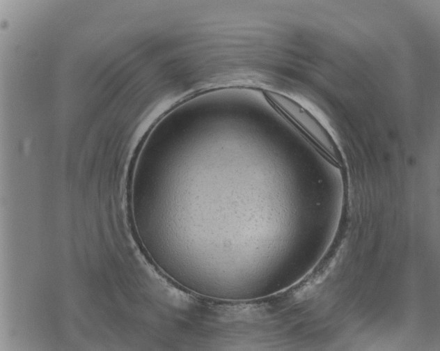 X0000074940949200609081347