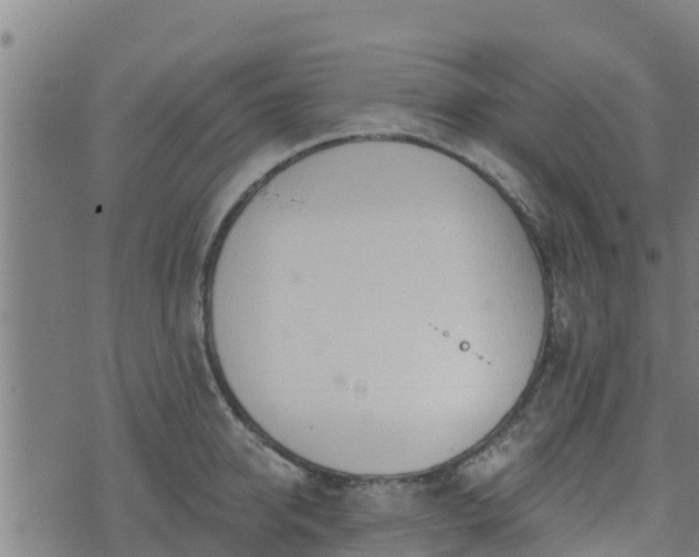 X0000074940950200609081347