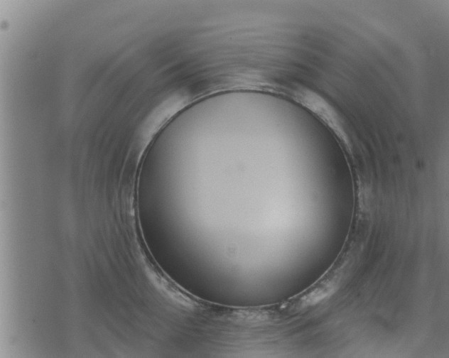 X0000074940954200609081347