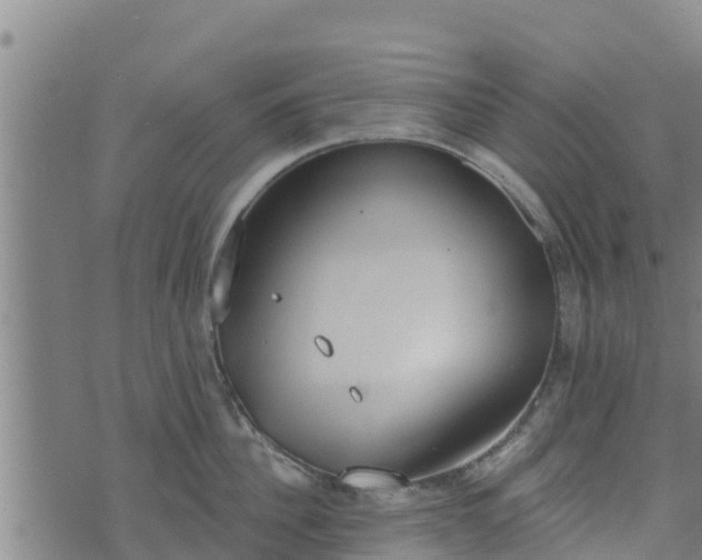 X0000074940956200609081347