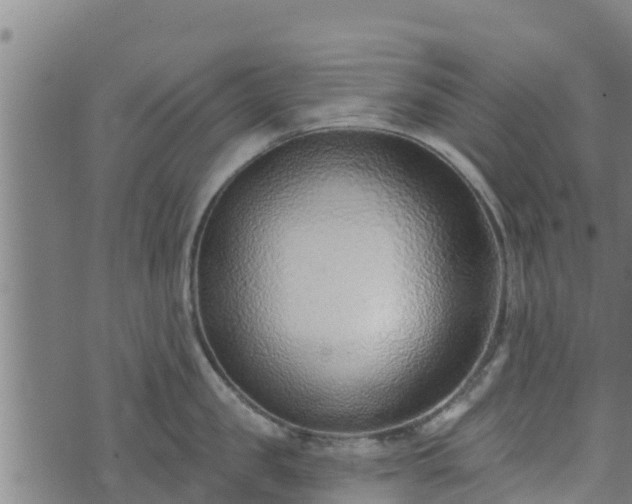 X0000074940957200609081347