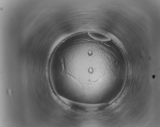 X0000074940958200609081347