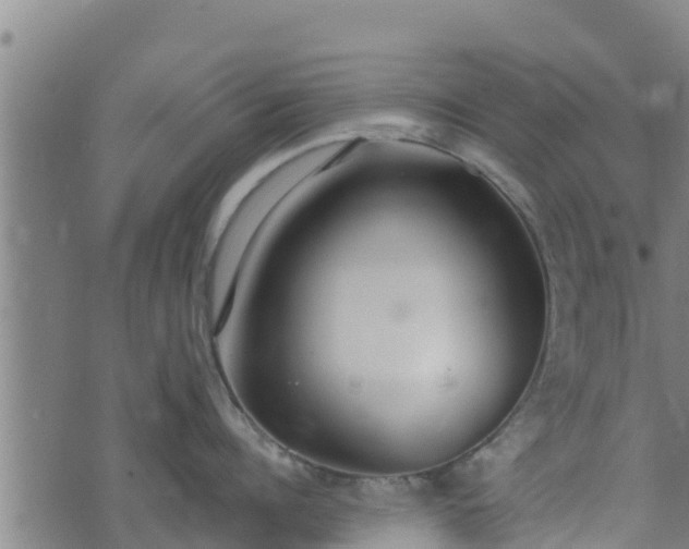 X0000074940960200609081348