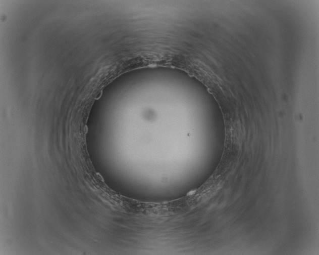 X0000074940961200609081347