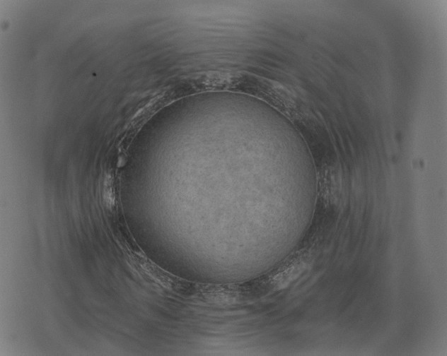 X0000074940962200609081347