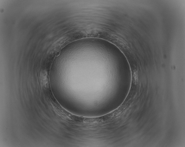 X0000074940963200609081347